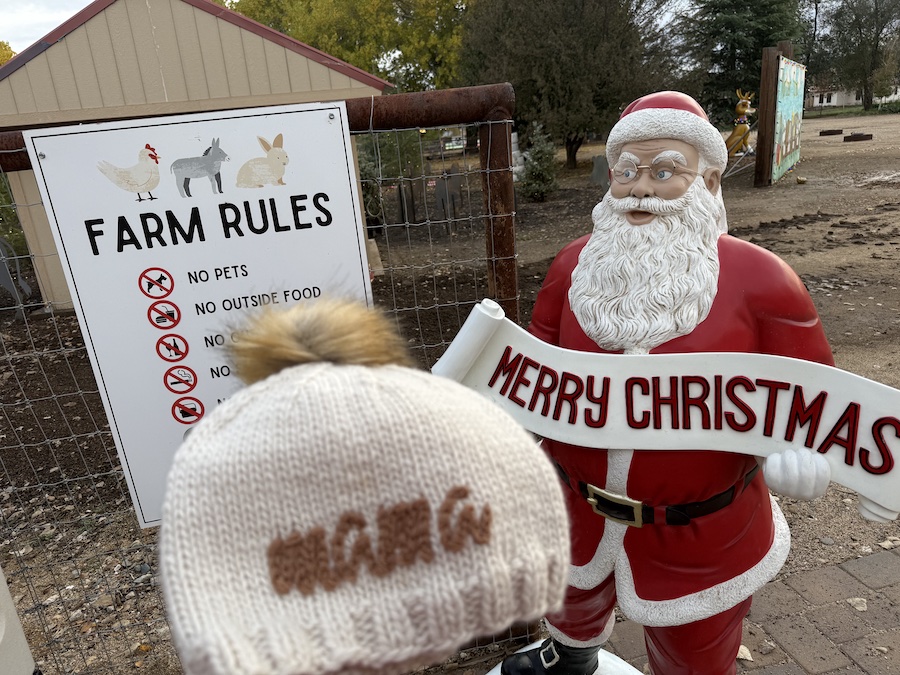 Mortimer Farms is a place where everyone will find something to their liking.