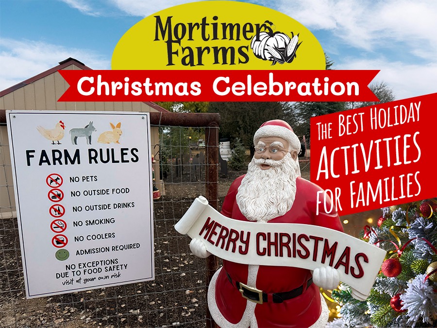 Discover the Joy of Christmas at Mortimer Farms in Arizona