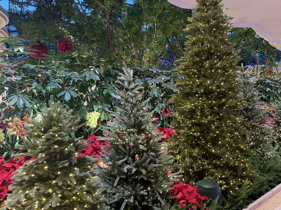 A beautifully illuminated scene inside the Wynn Botanical Gardens showcasing several elegantly decorated Christmas trees.