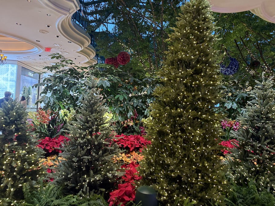 The soft, ambient lighting from the garden enhances the holiday feel.