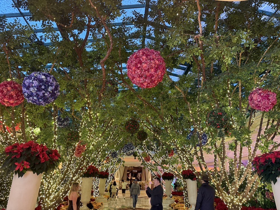 A lush indoor botanical garden adorned with Christmas trees, glowing lights, and seasonal floral displays.