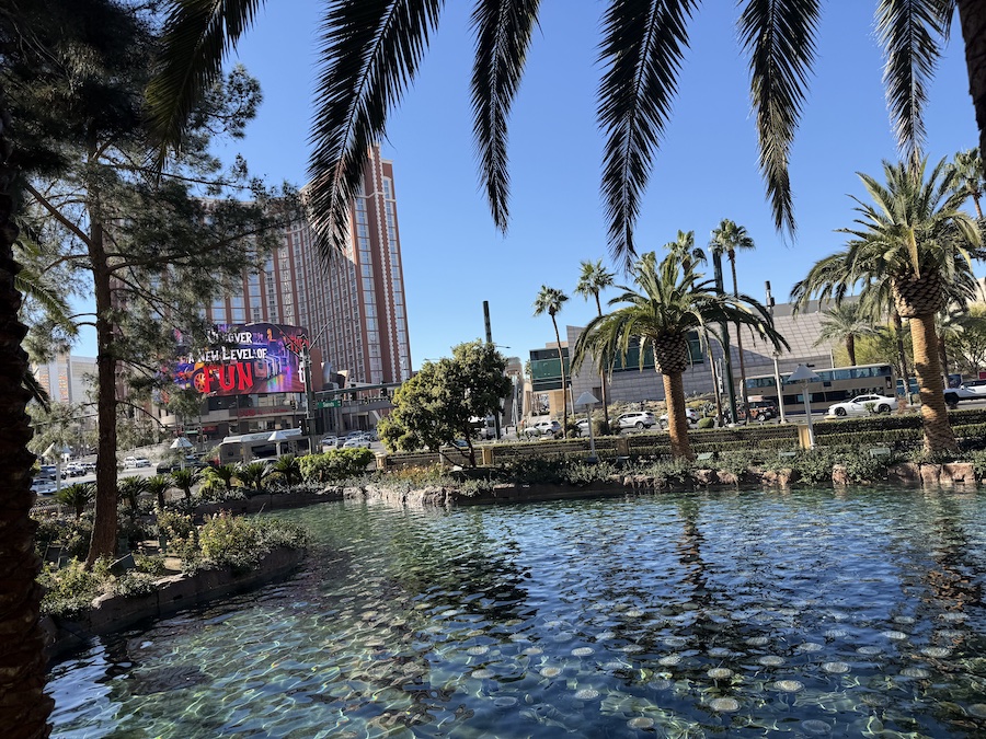A beautiful fountain within the Wynn resort area, framed by elegant landscaping.