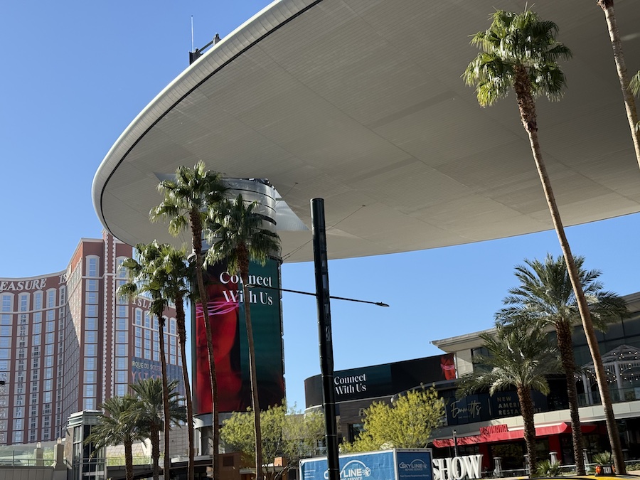 A wide street in Las Vegas lined with tall palm trees and various commercial buildings under a sunny blue sky.