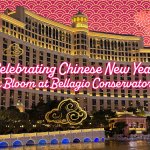 Bellagio Conservatory Welcomes the Chinese New Year With Stunning Floral Art