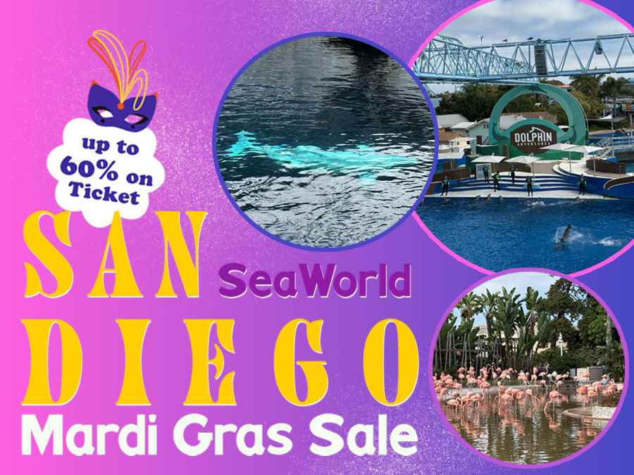 SeaWorld San Diego Discount Tickets: Save 60% For The Mardi Gras Celebration!