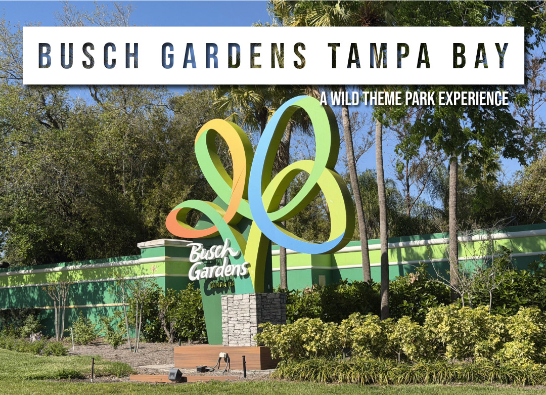 Busch Gardens Tampa Bay Guide: Safari, Thrill Rides & What to See in One Day
