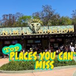 Animal Kingdom Park entrance, Disney World, Orlando.