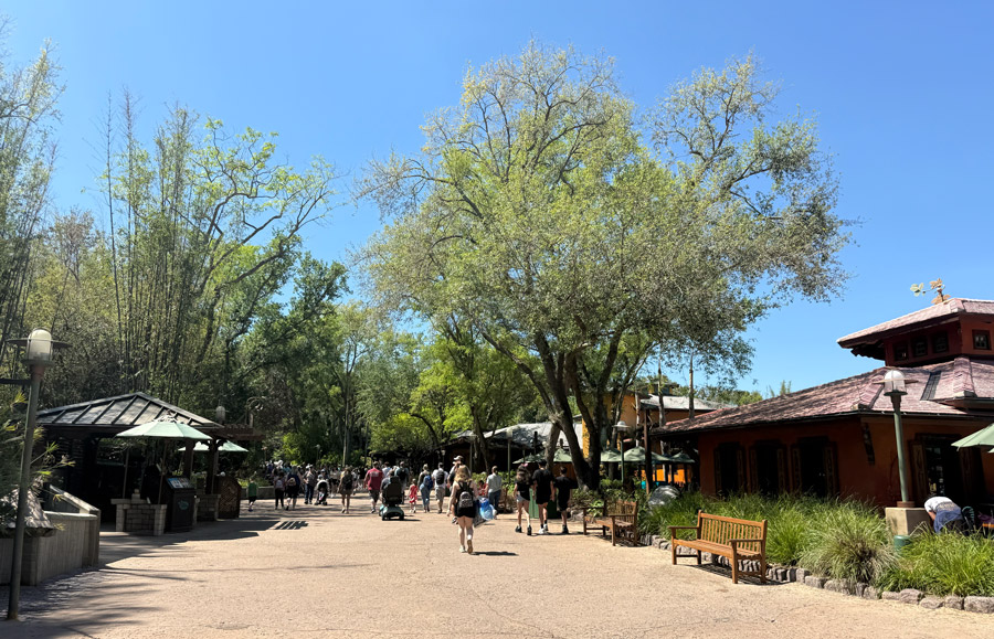 Walking path with visitors and trees at Disney’s Animal Kingdom Orlando Florida.