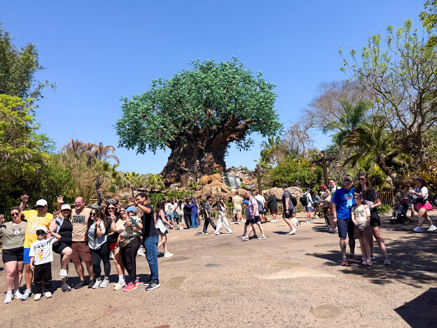Tree of Life at Disney’s Animal Kingdom in Orlando, Florida surrounded by visitors in the park.