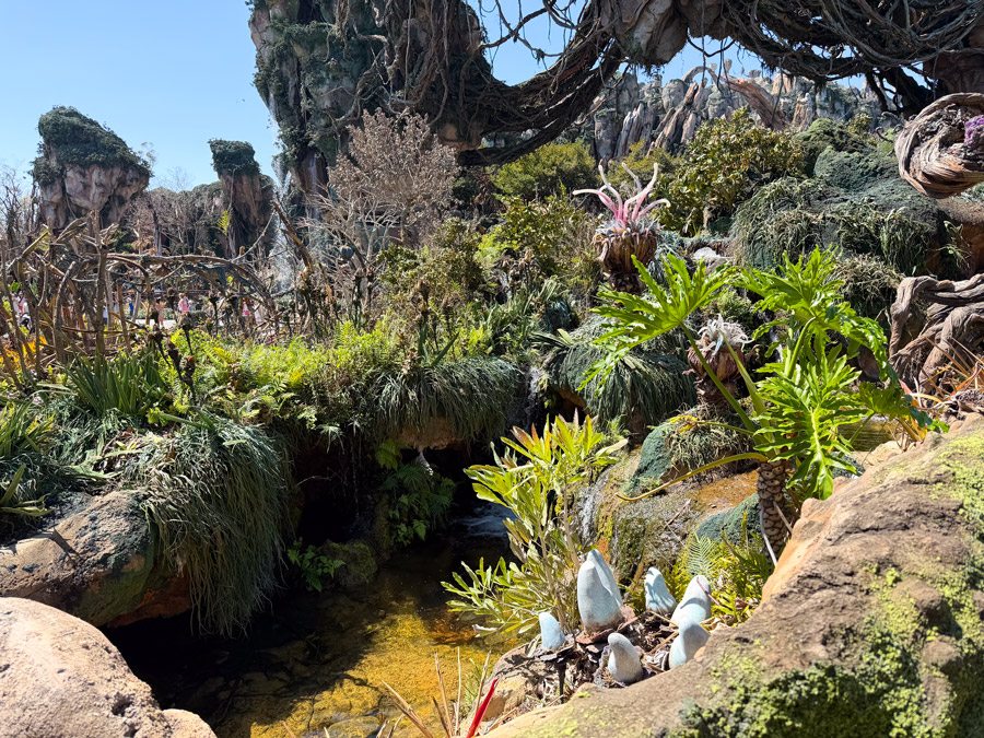 Pandoran forest with alien plants and lush greenery at Disney’s Animal Kingdom Orlando.