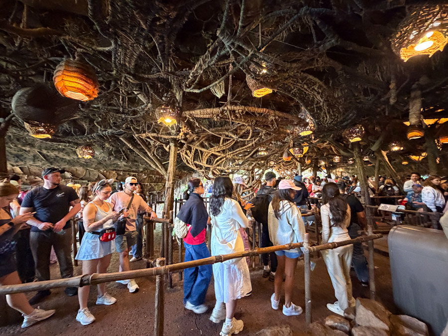 Rainforest Cafe interior at Disney’s Animal Kingdom with jungle-themed decor and visitors waiting.
