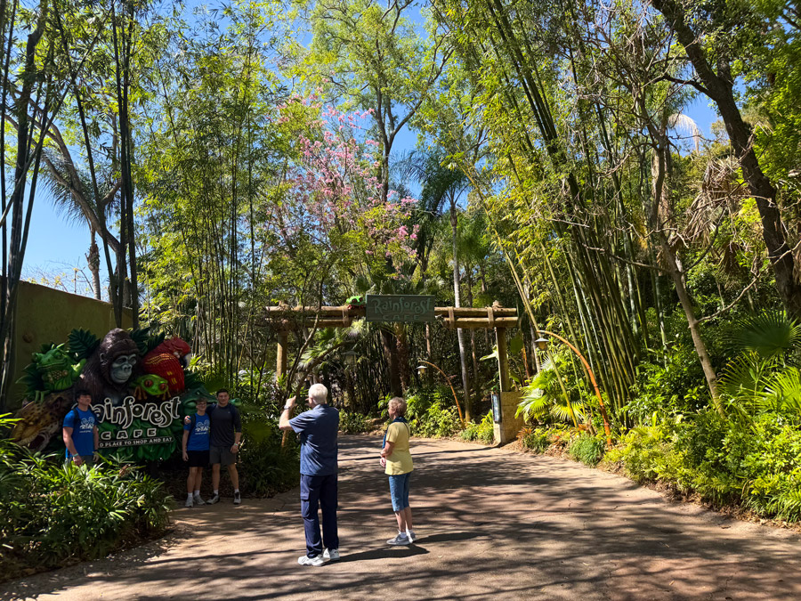 Rainforest Cafe entrance surrounded by tropical greenery at Disney’s Animal Kingdom Orlando.