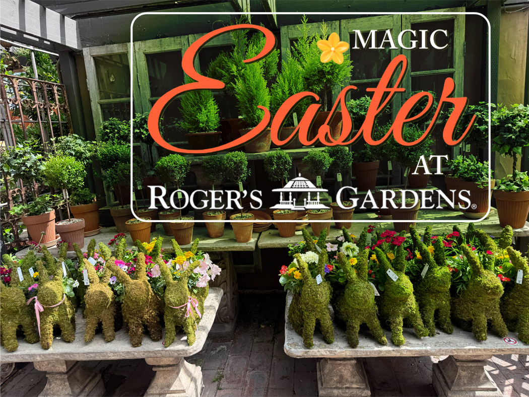 Easter Decor at Roger’s Gardens: Unique Finds and 30% Savings