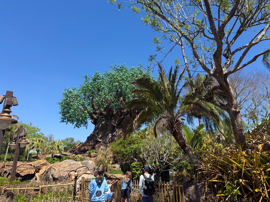 Tree of Life at Disney’s Animal Kingdom in Orlando with tropical plants and visitors nearby.
