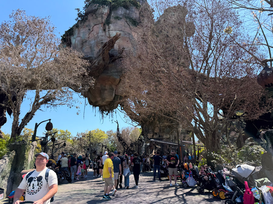 Floating mountains in Pandora Valley of Mo’ara at Disney’s Animal Kingdom Orlando.