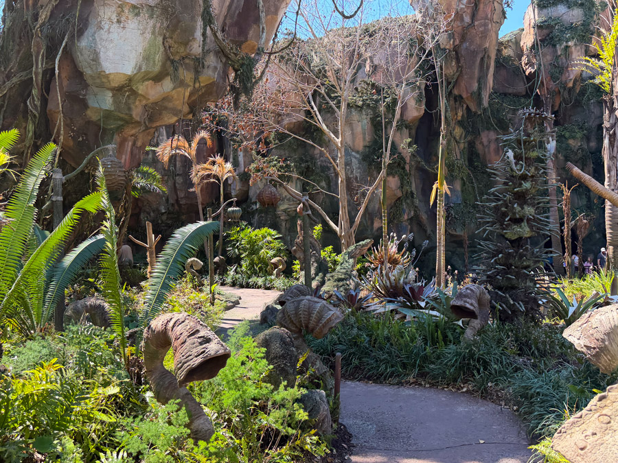 Pandora alien plants and walking trail in Valley of Mo’ara at Disney’s Animal Kingdom Orlando.