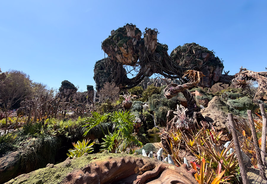 Pandora floating mountains landscape with alien plants at Disney’s Animal Kingdom Orlando.