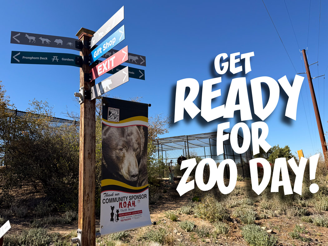 Planning Your Visit to Heritage Park Zoological Sanctuary: Everything You Need to Know