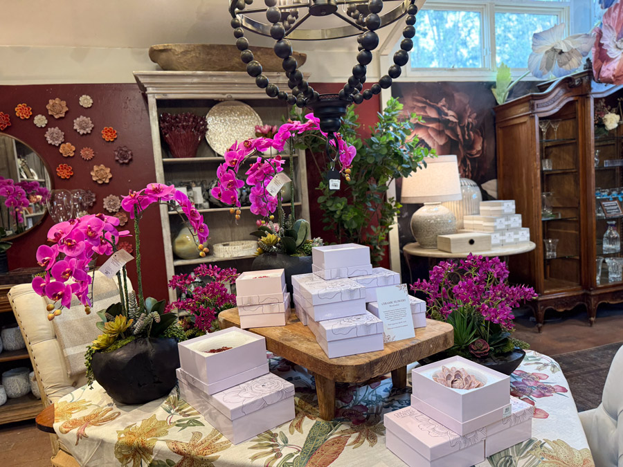 Orchid, gift boxes and spring display - Roger's Gardens.