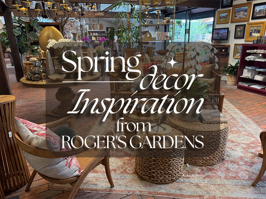 Spring home decor living room display with rattan furniture, layered pillows, orchids, and woven tables at Roger’s Gardens.