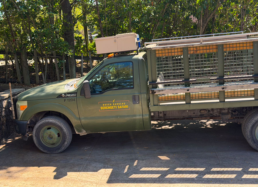 Busch Gardens Serengeti Safari vehicle