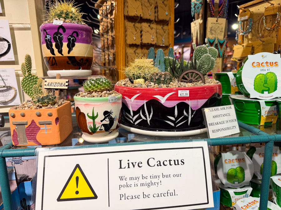 Live cactus souvenirs at Sedona marketplace
