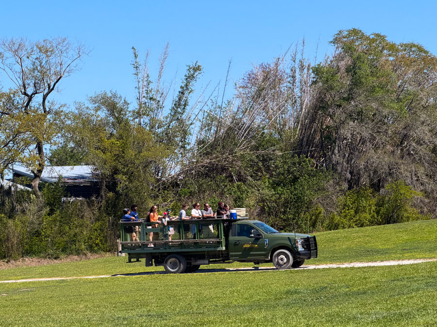 Serengeti Safari truck at Busch Gardens Tampa Bay