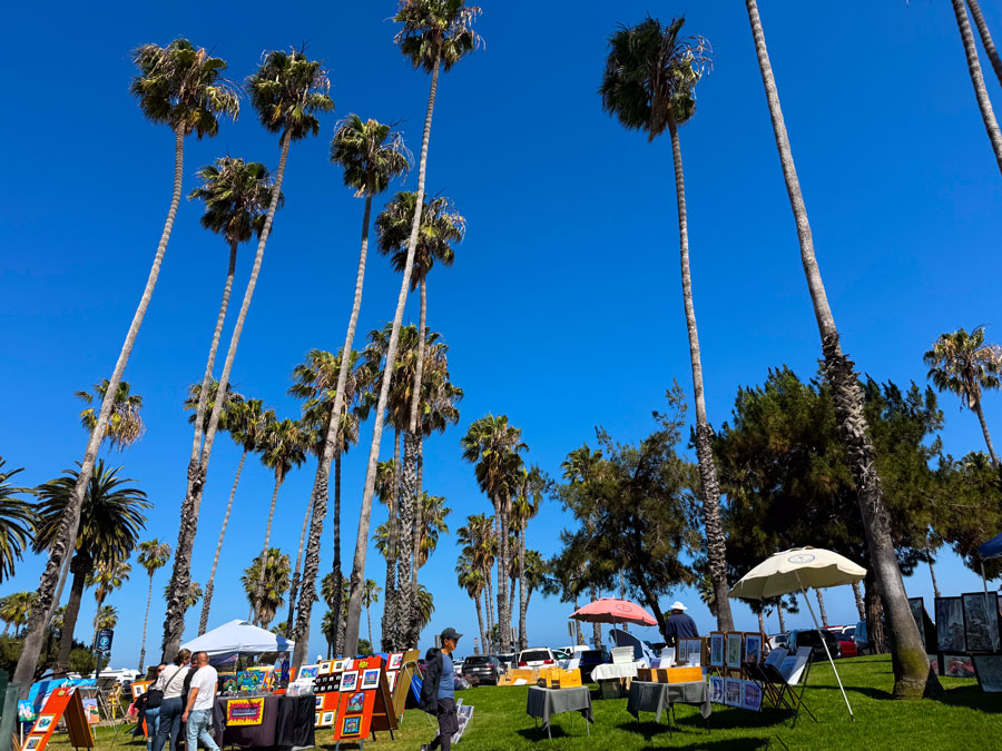 Outdoor art market under palm trees in Montecito