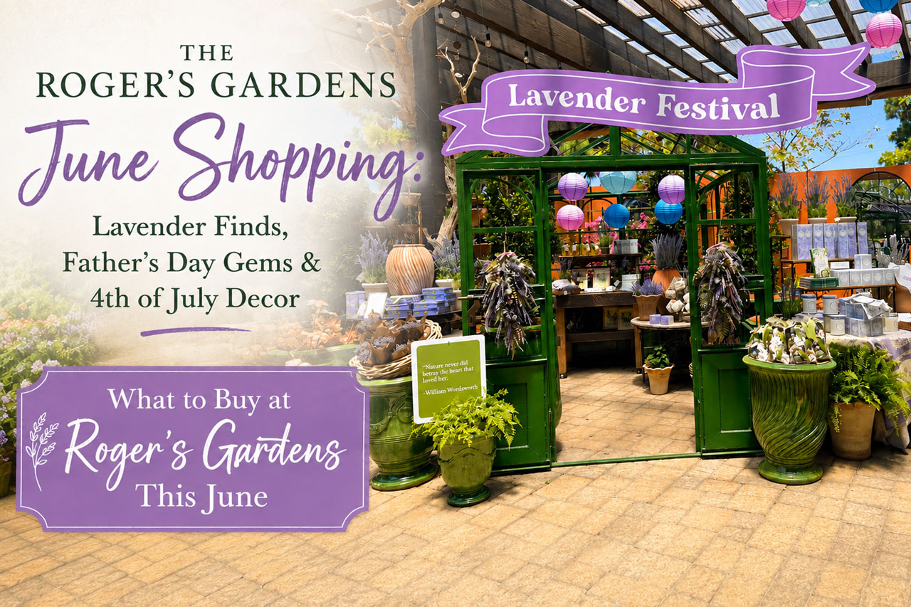 The Roger’s Gardens June Shopping: Lavender Finds, Father’s Day Gems & 4th of July Decor