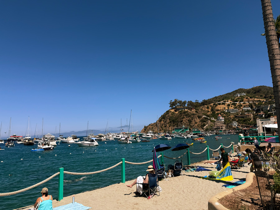 Sandy beach beside Avalon Harbor with boats and hillside homes on Catalina Island
