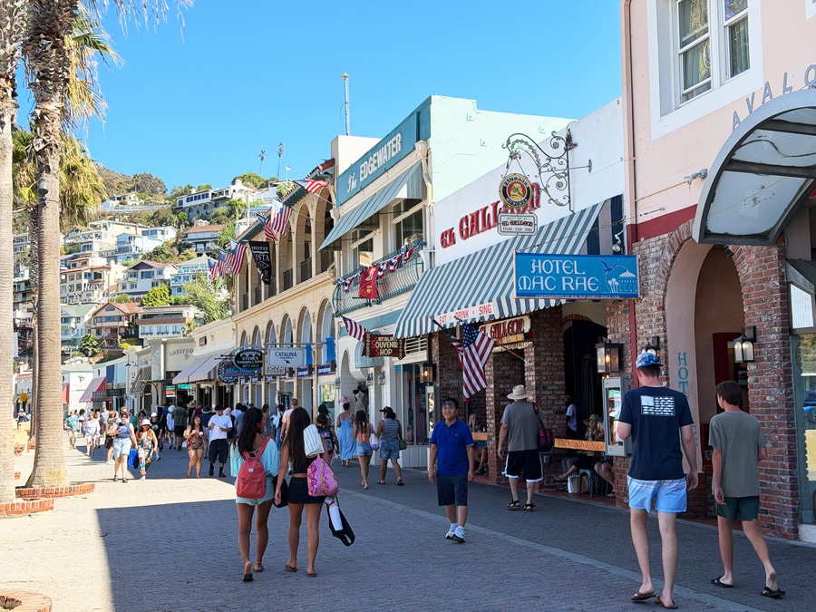 Visitors walking past shops, restaurants, and hotels on Crescent Avenue in downtown Avalon