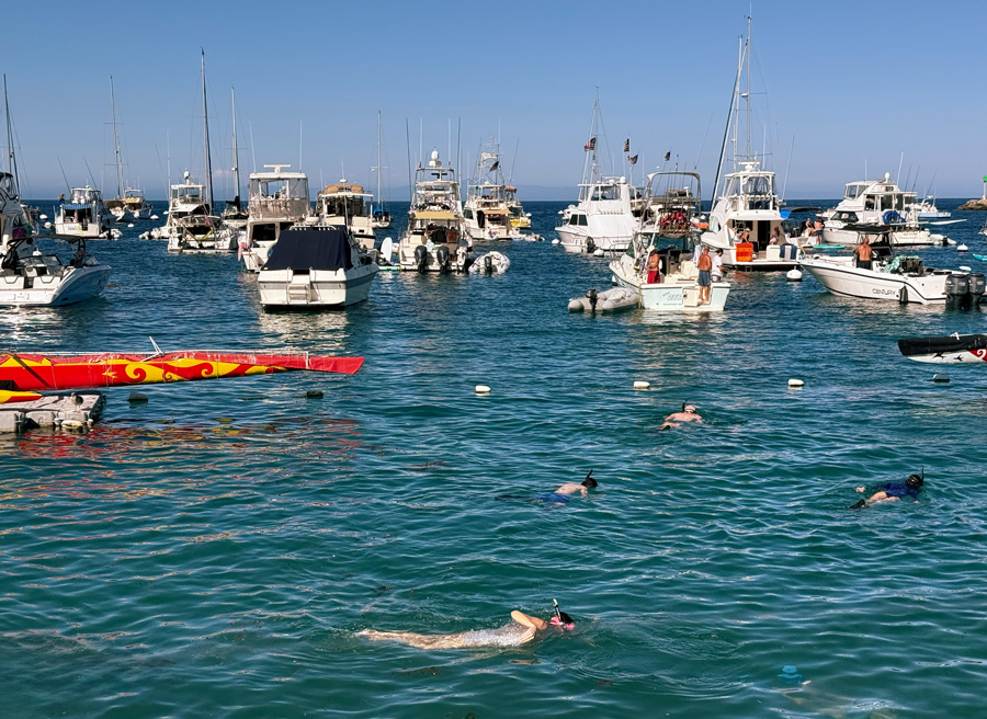 Children and adults snorkeling in Avalon Bay among moored boats on Catalina Island
