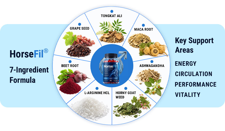 HorseFil 7-ingredient formula featuring Tongkat Ali, maca root, ashwagandha, horny goat weed, L-arginine HCl, beetroot, and grape seed.