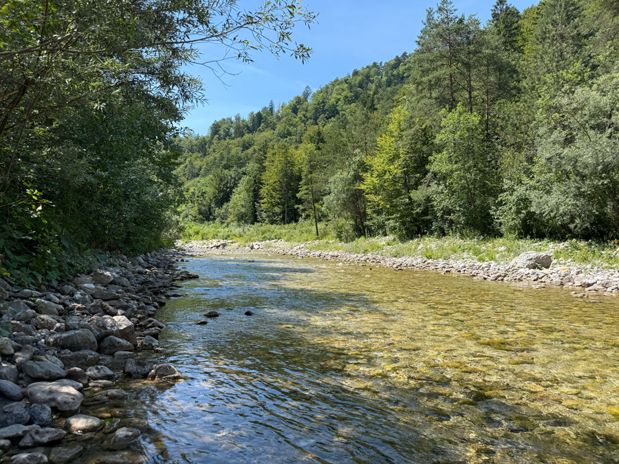 Clear Idrijca River flowing through a forested valley near Spodnja Idrija, Slovenia
