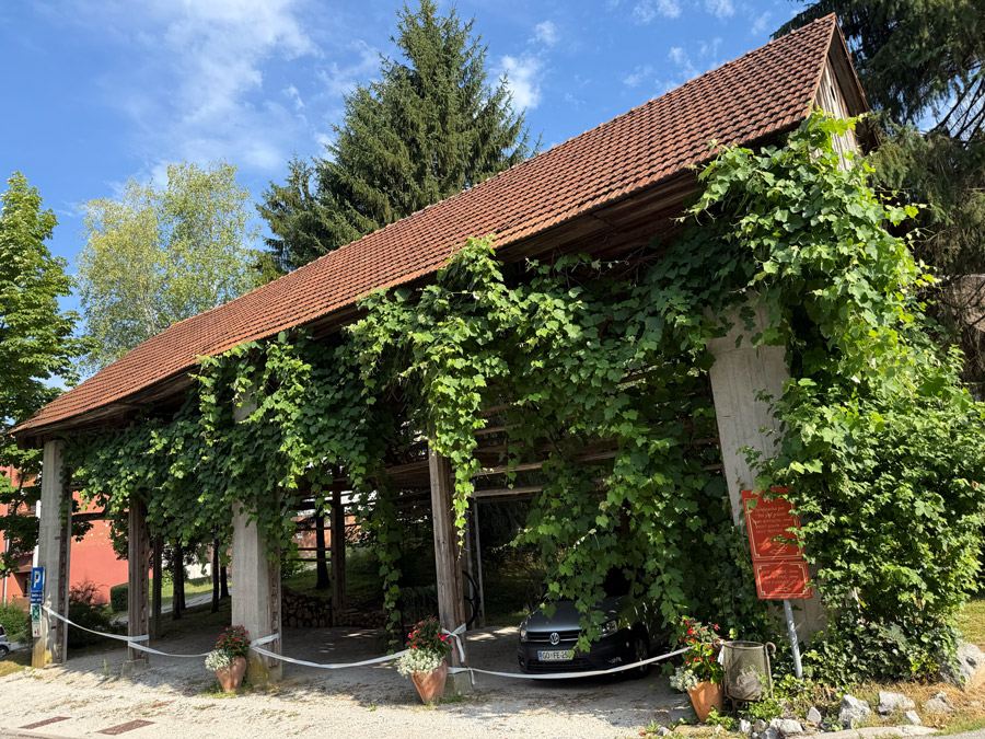 Vine-covered guest parking area beside Kendov Dvorec in Spodnja Idrija