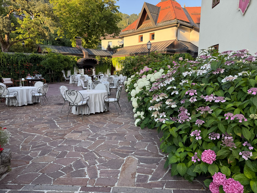 Pink and white hydrangeas blooming in the garden at Kendov Dvorec