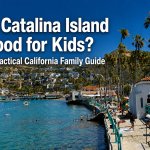 Families enjoying Avalon Bay on Catalina Island with boats and palm-lined beaches
