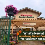 Armstrong Garden Centers Newport Beach entrance decorated with colorful seasonal plants
