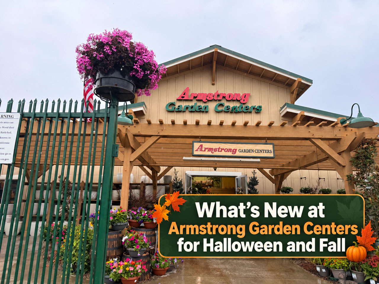 What’s New at Armstrong Garden Centers for Halloween and Fall