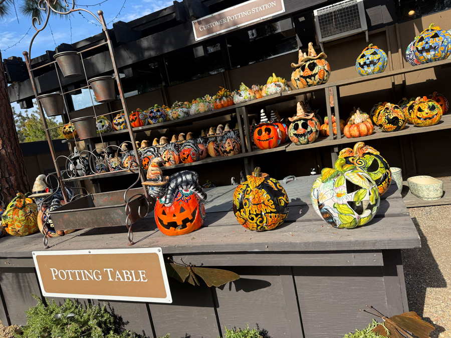 Colorful painted Halloween pumpkins at the Roger’s Gardens potting table