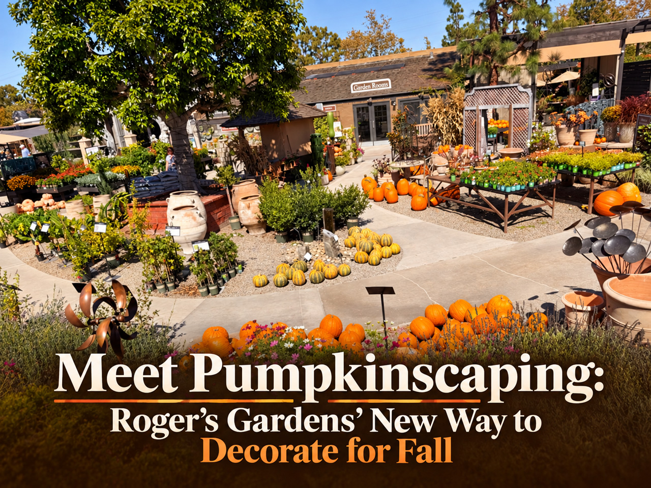 Roger’s Gardens Launches Pumpkinscaping for 2026: Prices, Dates and How to Book