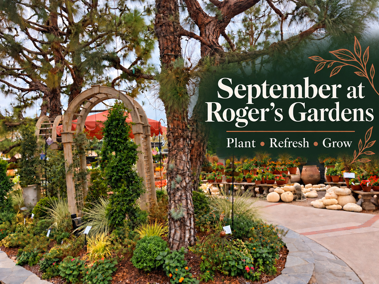 September Gardening at Roger’s Gardens: What to Do Now and Why It’s Worth a Visit