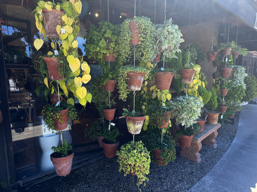 Sky Gardens vertical hanging planters filled with trailing plants